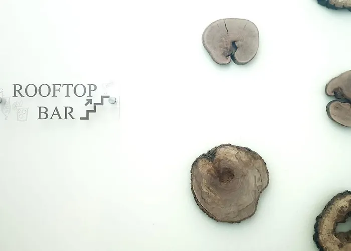 Scodrinon ホステル