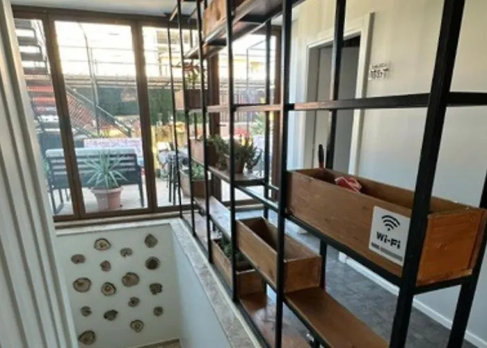 Scodrinon * شكودر