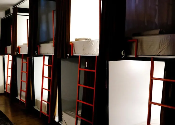 Scodrinon Hostel Szkodra