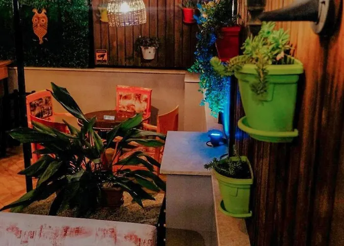 Scodrinon بيت شباب